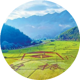 2022年中國汽車鍛件市場規模及發展趨勢預測分析（圖）(圖3)